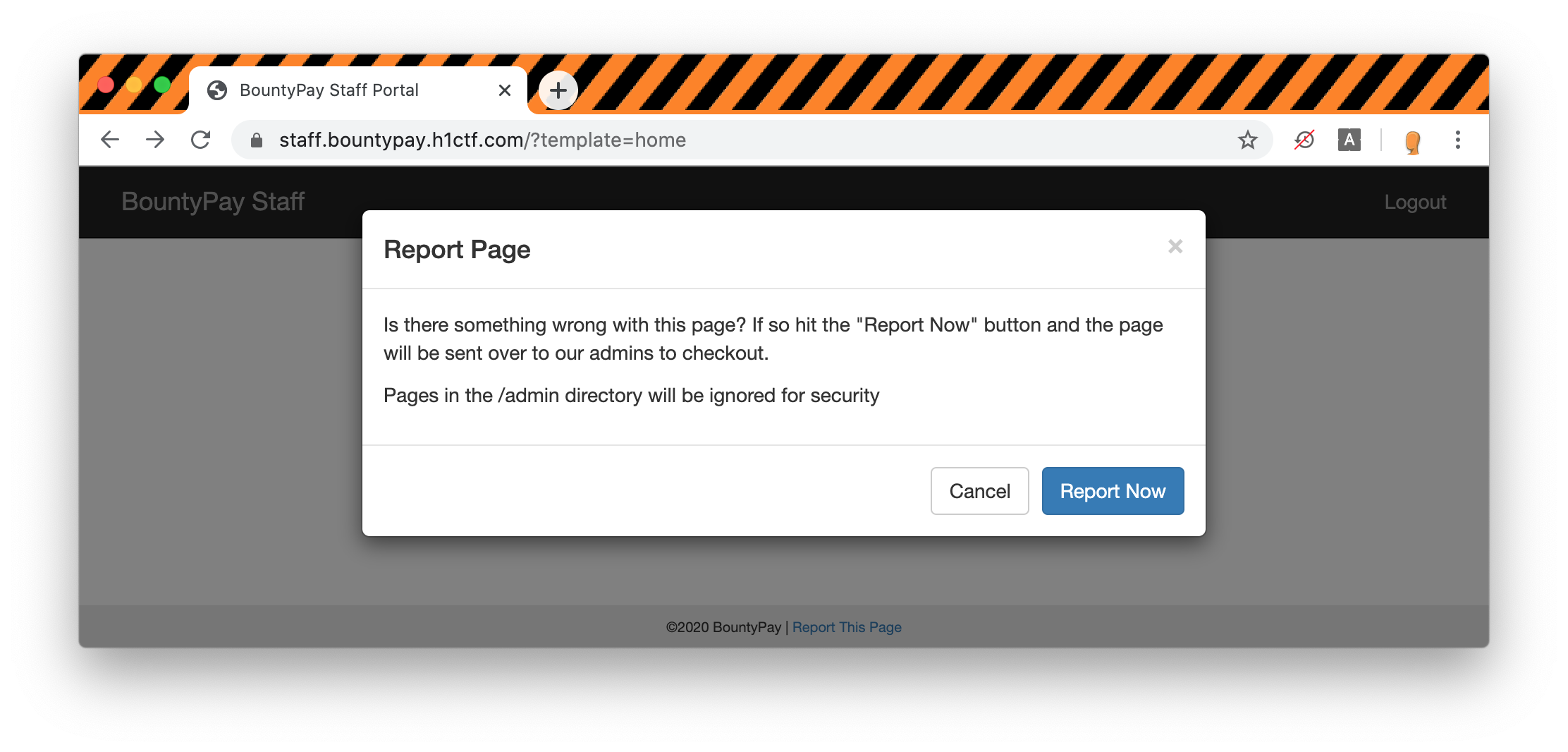 Report Page